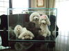Filename=462dff0ecd5b9.jpg
Filesize=108KiB
Dimensions=640x480
Date added=May 02, 2007 462dff0ecd5b9.jpg