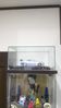 Filename=DSC_4117.JPG
Filesize=1790KiB
Dimensions=2434x4327
Date added=Feb 21, 2020 DSC_4117.JPG