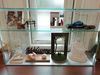 Filename=IMG_20190112_131206.jpg
Filesize=3121KiB
Dimensions=4160x3120
Date added=Jan 12, 2019 IMG_20190112_131206.jpg