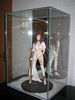 Filename=IMG_2997.JPG
Filesize=1396KiB
Dimensions=1536x2048
Date added=Jan 01, 2012 IMG_2997.JPG