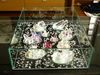 Filename=P1110418.JPG
Filesize=5544KiB
Dimensions=4320x3240
Date added=Dec 20, 2022 P1110418.JPG