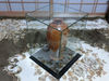 Filename=_CIMG1974.JPG
Filesize=1922KiB
Dimensions=3648x2736
Date added=Nov 26, 2012 _CIMG1974.JPG