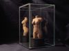Filename=torso.jpg
Filesize=547KiB
Dimensions=4000x3000
Date added=May 29, 2011 torso.jpg